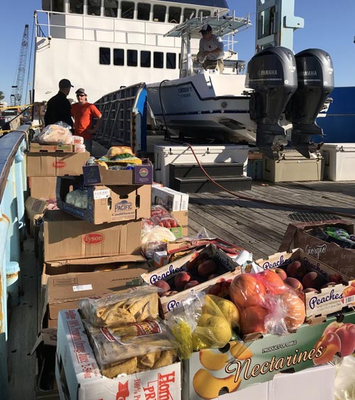 Real Marine Agencies